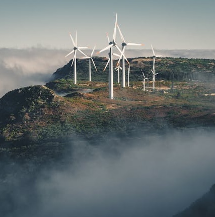 Pexels Fabianwiktor 4011443