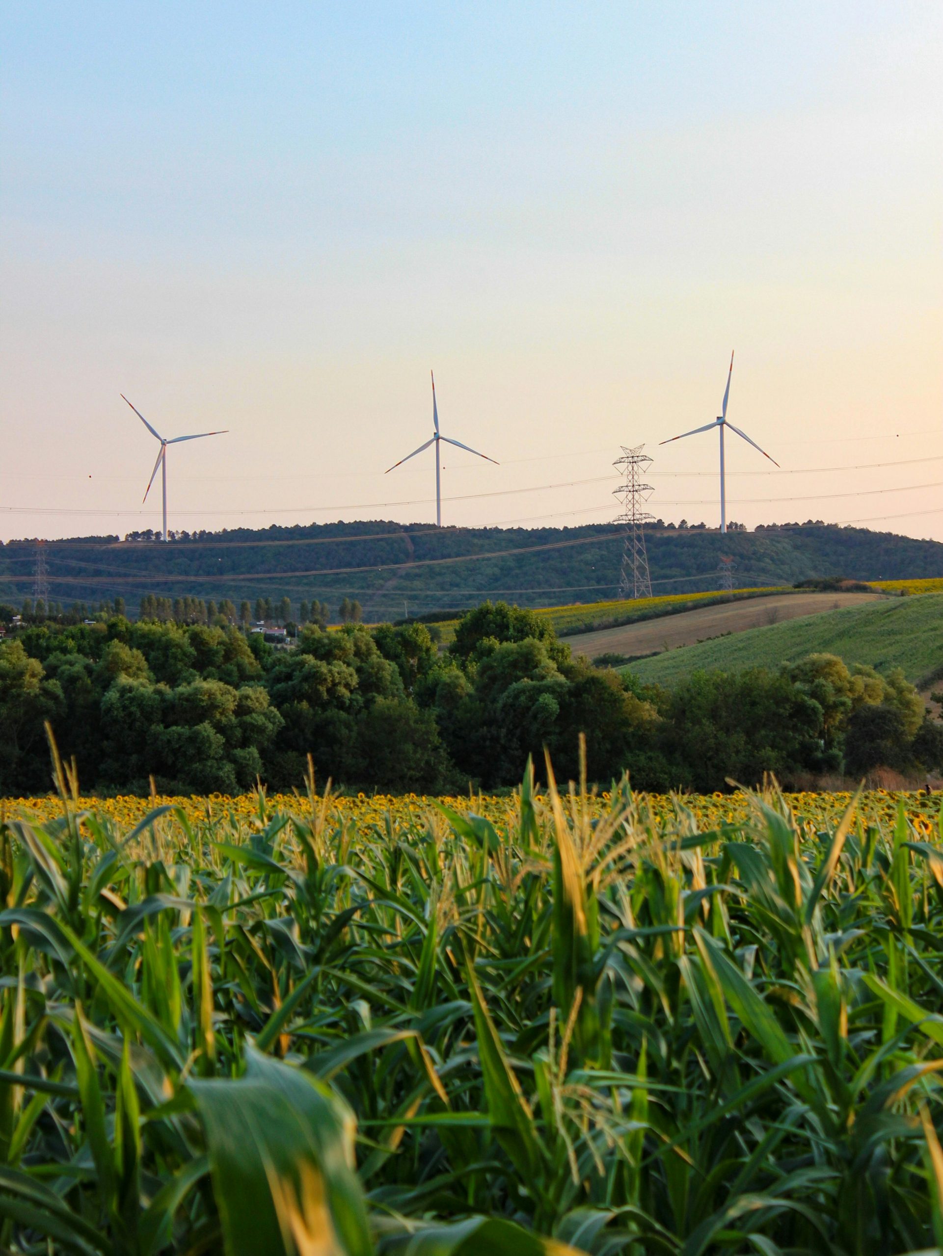 Pexels Aydinjpg 27440018 Scaled